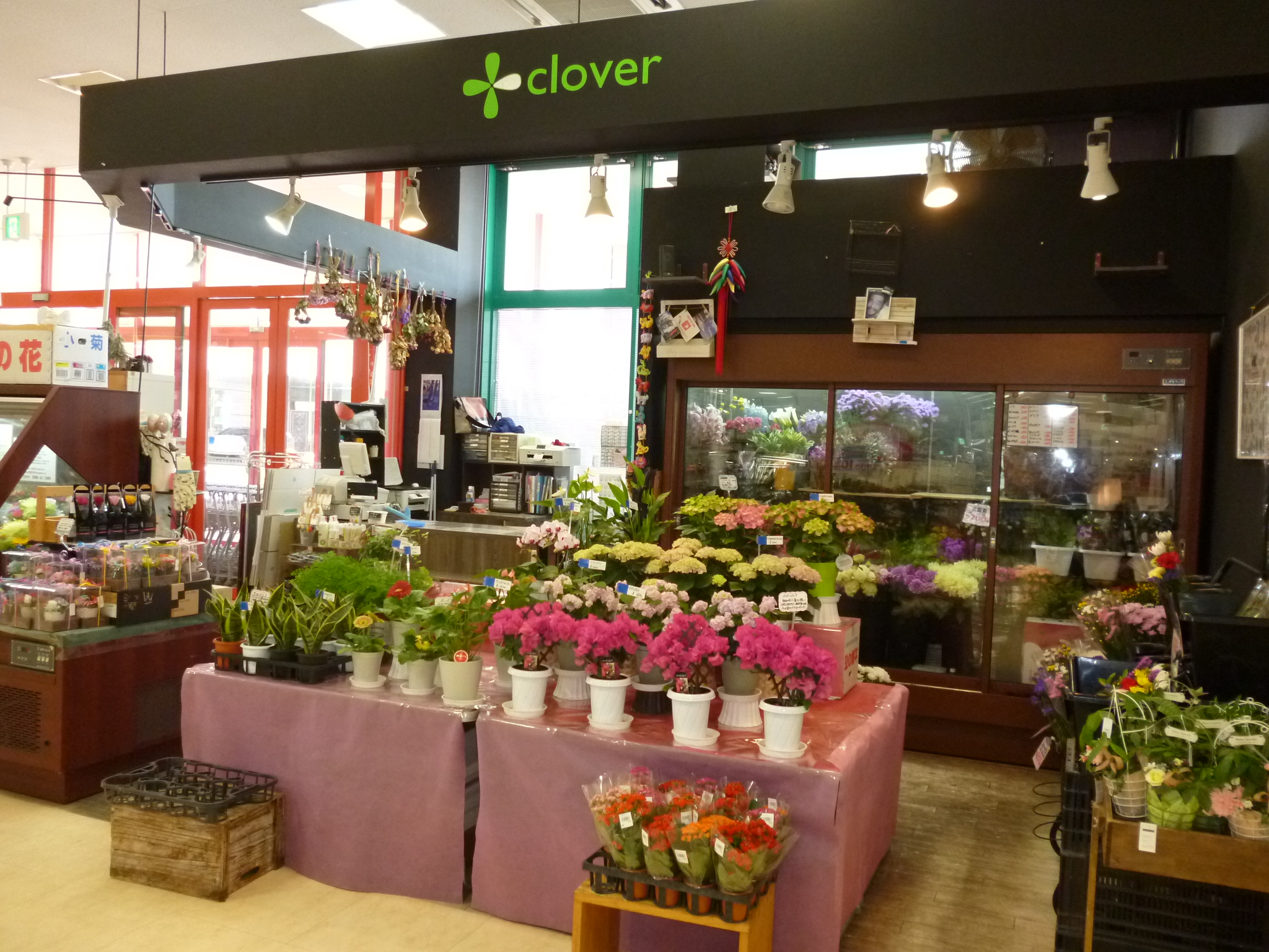 clover