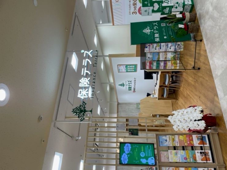 保険テラス
