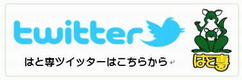 はと専　Twitter