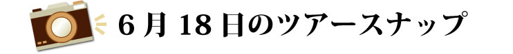 5月12日のツアースナップ